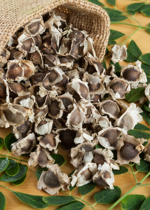 Comprehensive Guide to Eating Moringa Seeds