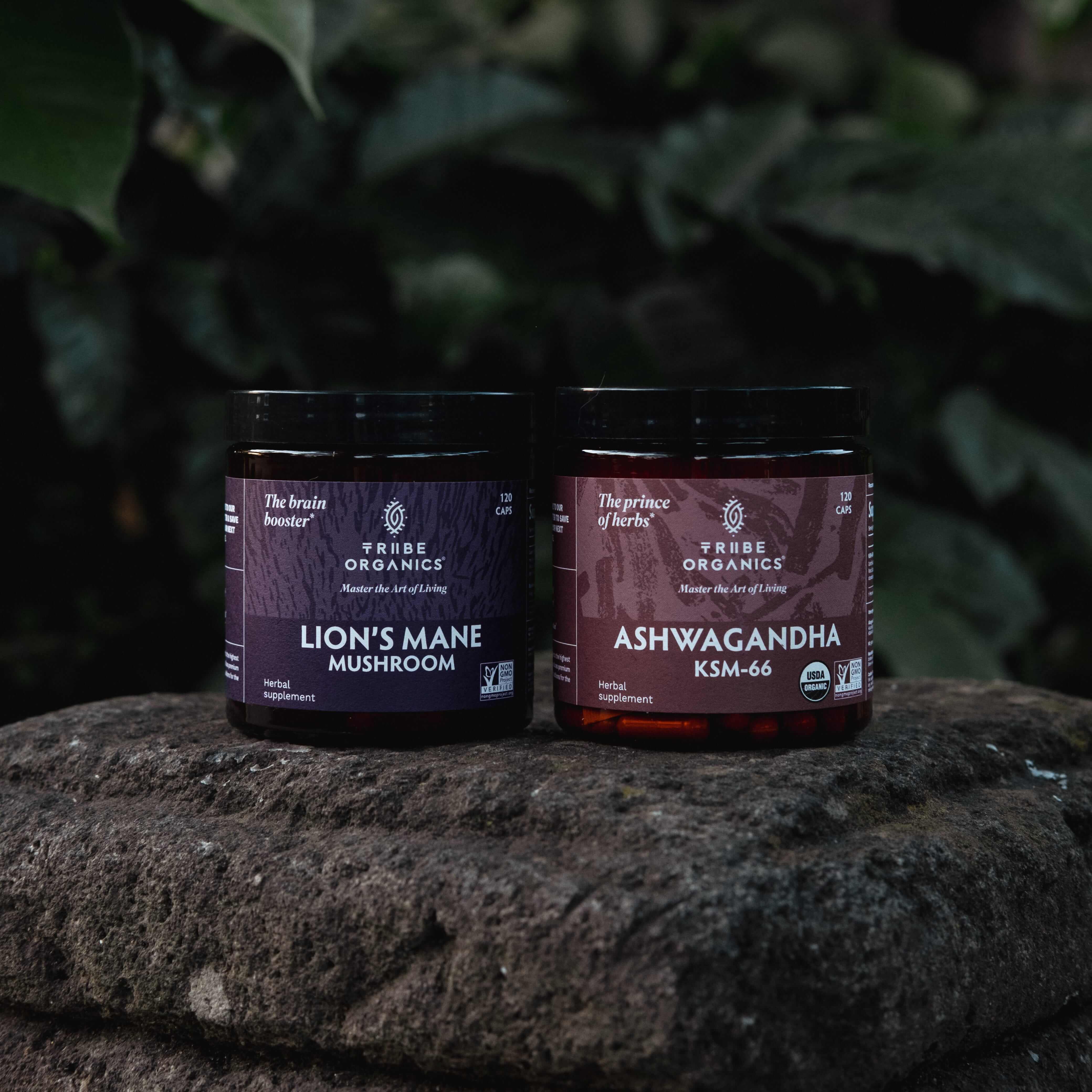 Nootropic Duo