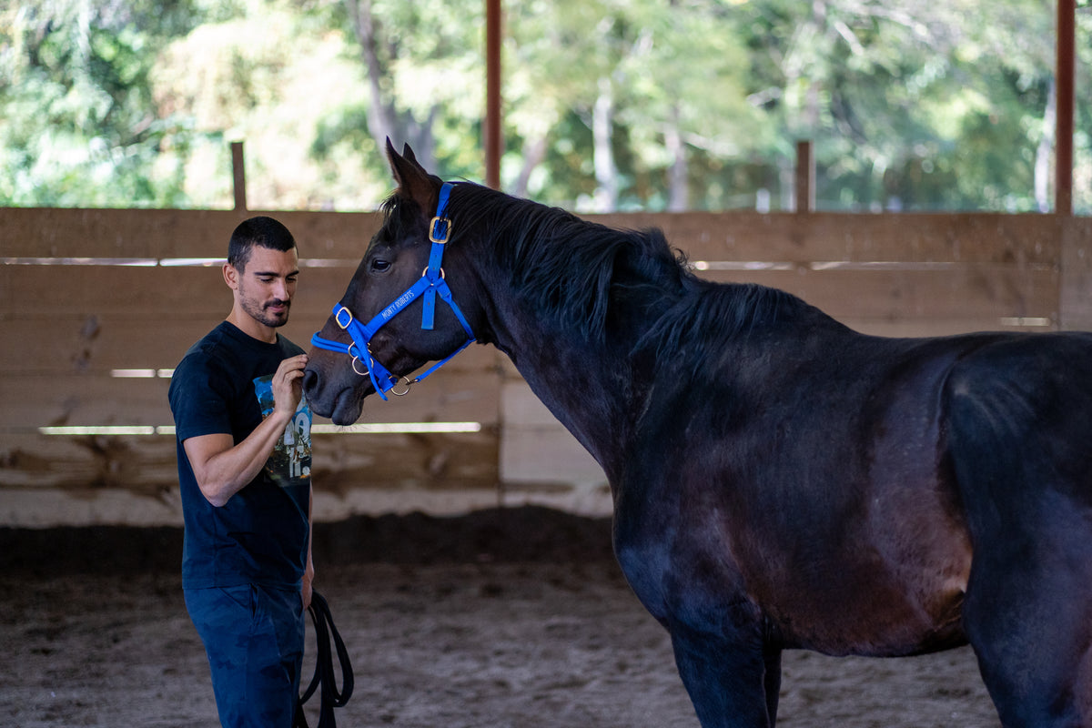 Equine-assisted programs in the heart of Guatemala.