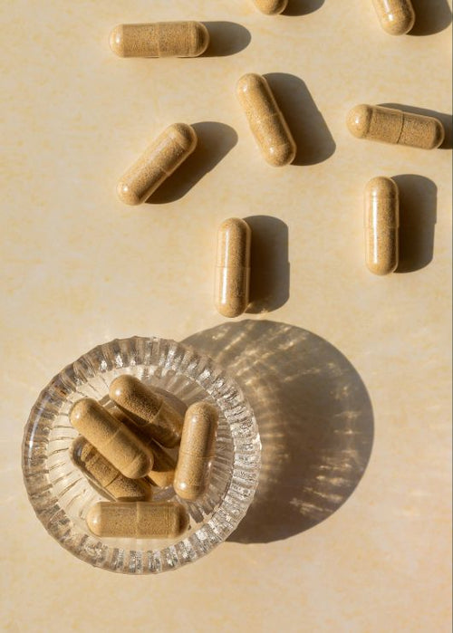 How Long Does It Take for Ashwagandha to Work? | Tribe Organics