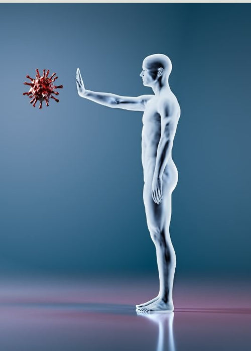 Supplements for Lymph System - The Key to Immunity