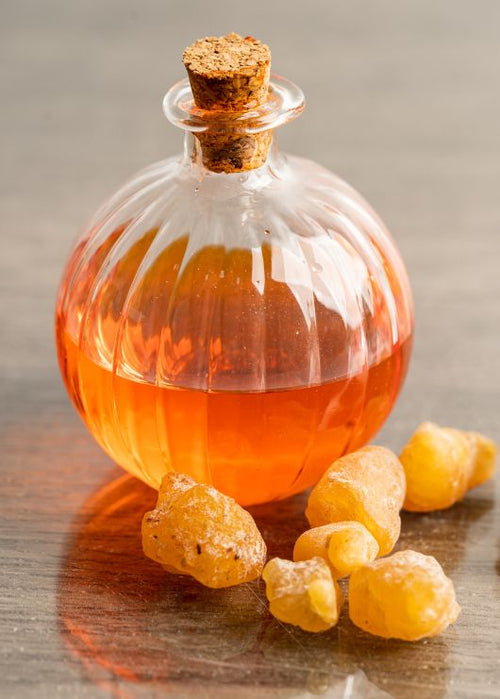 Boswellia for Pets: A Safe Solution for Joint Health