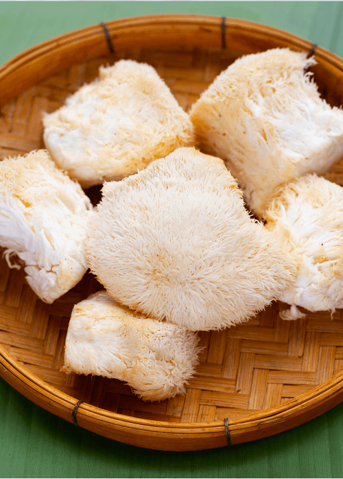 A Guide On How To Take Lion's Mane Powder