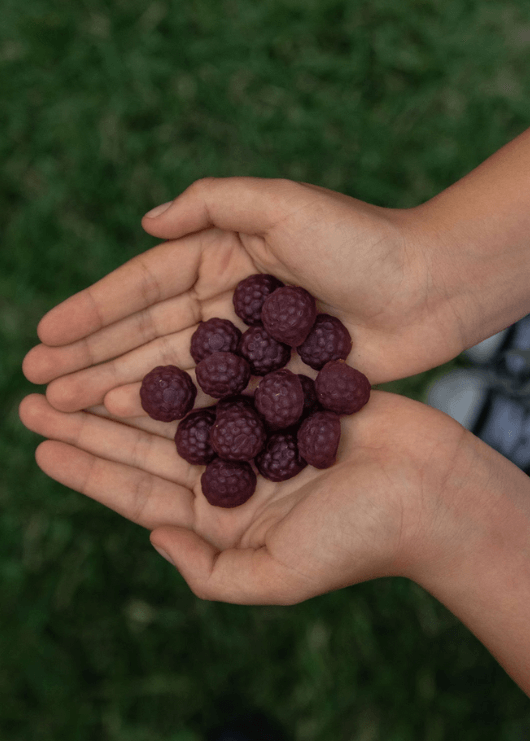 What Do Ashwagandha Gummies Do: Benefits, Uses, and More