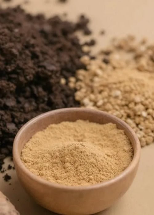 Ashwagandha Drug Interactions and Contraindications: What You Need to Know