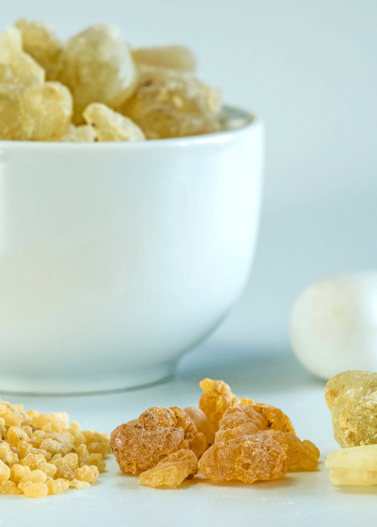 The 10 Health Benefits of Boswellia Capsules