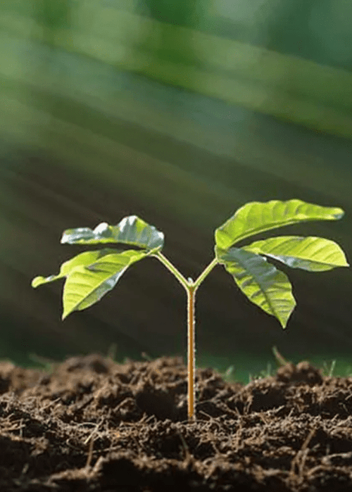 Tribe is committed to Earth Day with 1% for the Planet and EARTHDAY.ORG