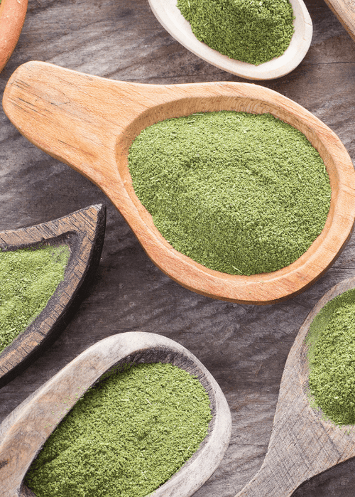 What is Moringa Powder?