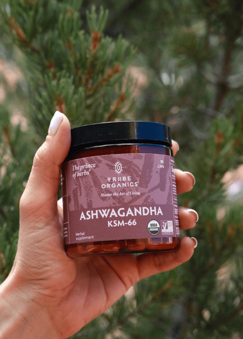 Ashwagandha and Magnesium Together: The Perfect Sleep Combo