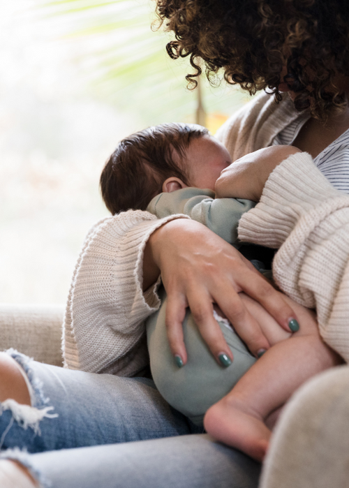 Moringa, the Best Superfood for Breastfeeding Moms