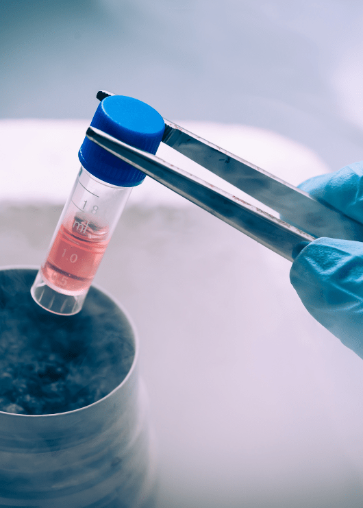 How to Activate Stem Cells