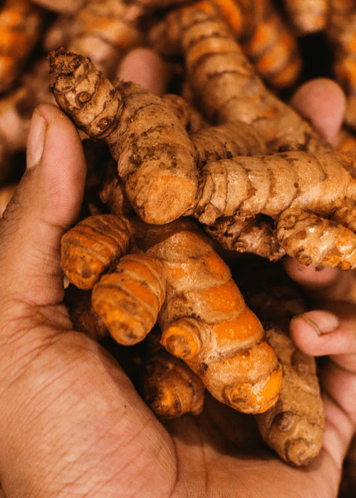 Curcumin vs. Turmeric