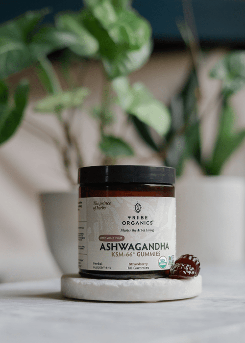 Do Ashwagandha Gummies Work?