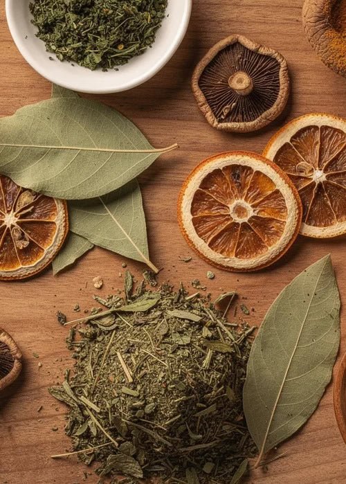 Illustrative image for the article: Best Nootropic Supplements: Evidence-Based Brain Boosters (And How Tribe Organics Fits In)