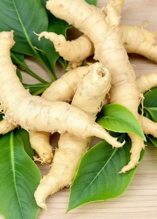 Ashwagandha for Cognitive Function and Memory Enhancement: Clinical Evidence and Practical Guide
