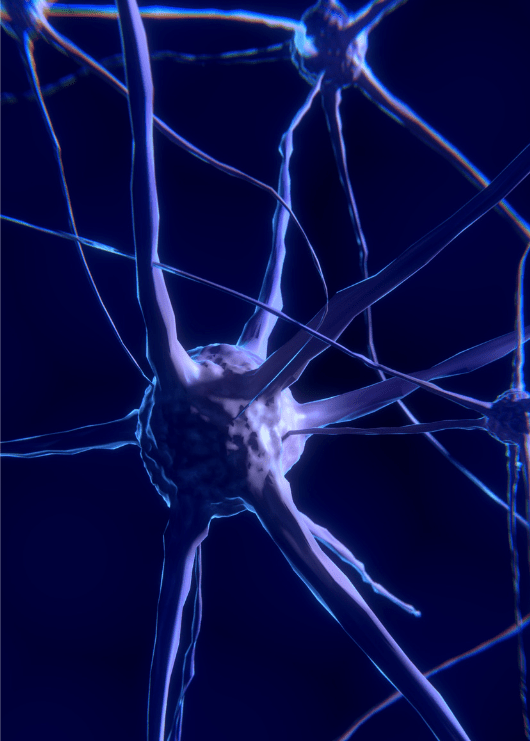 What are Nootropics?