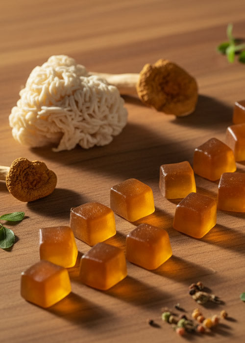Illustrative image for the article: Lion’s Mane Gummies: Benefits, Side Effects & How to Choose (2026 Guide)