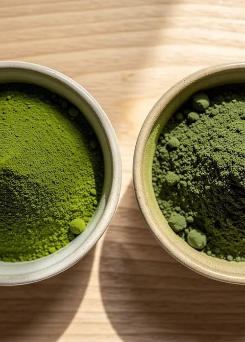 Illustrative image for the article: Moringa vs Matcha: The Green Superfood Showdown for Calm Energy & Daily Wellness