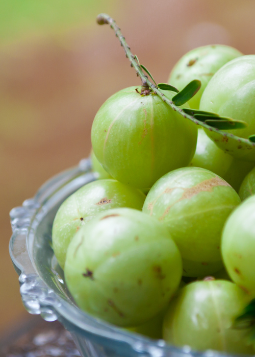 What Is Amla: Health Benefits, Side Effects, and More