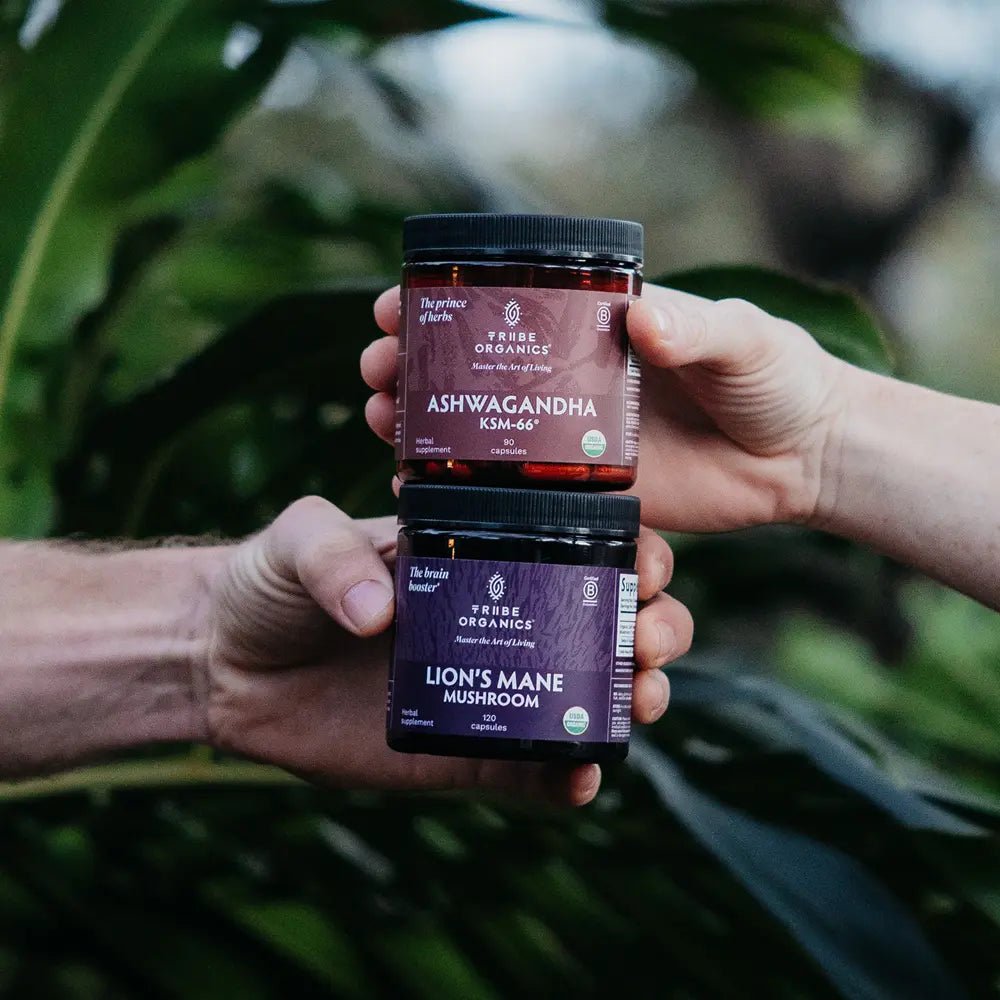 Nootropic Duo - TRIBE ORGANICS