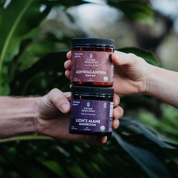 Nootropic Duo | TRIBE ORGANICS