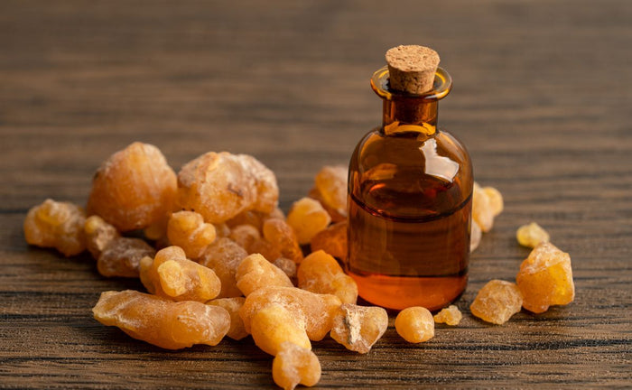 What is Boswellia and How Can It Help Me?