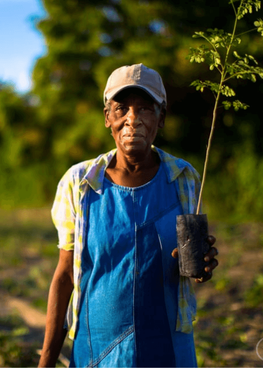 Contribute Directly to 1% for the Planet