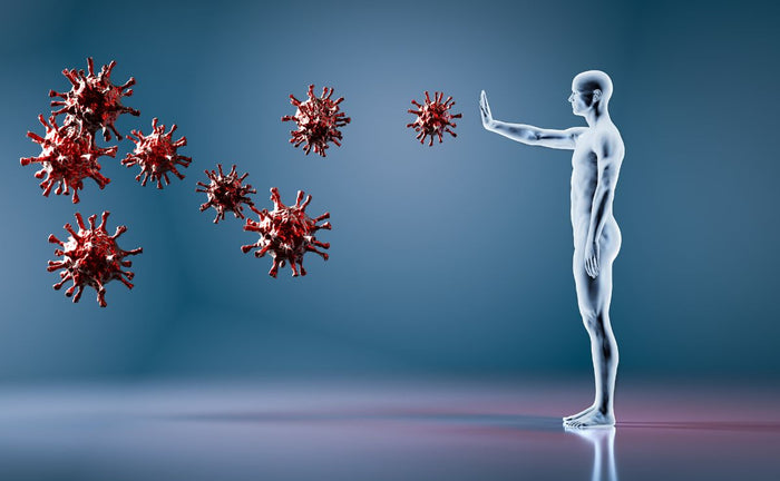 Best Supplements for Lymphatic Drainage: The Key to Immunity