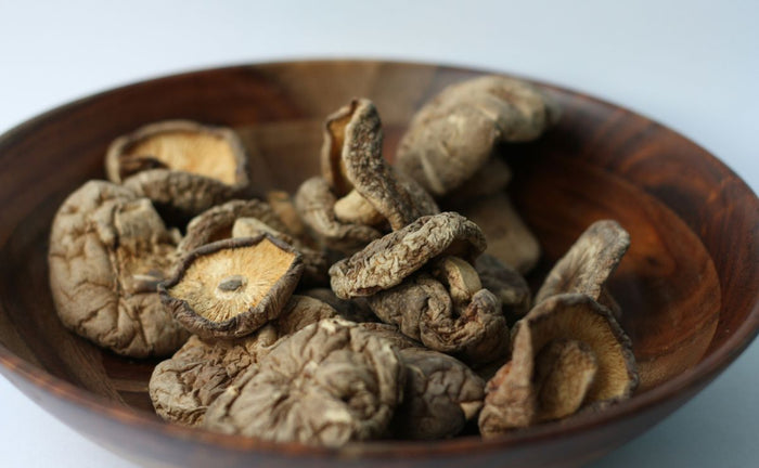 Medicinal Mushrooms: Six Kinds And Their Unique Health Benefits