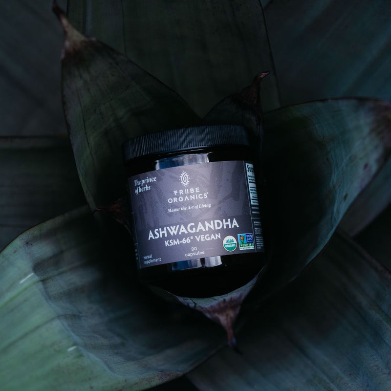 Ashwagandha KSM - 66 Vegan - TRIBE ORGANICS