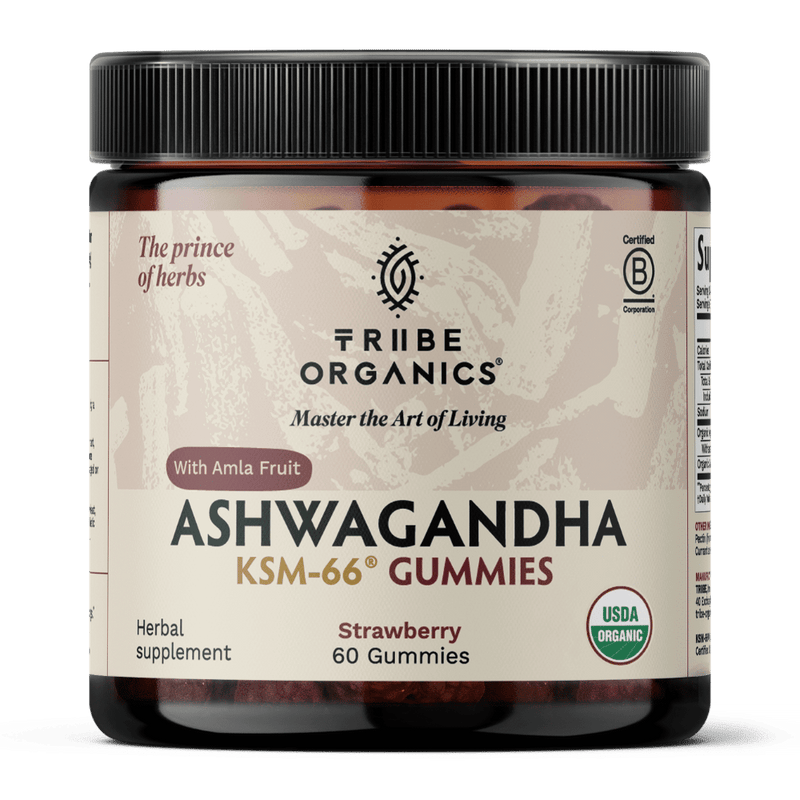 Ashwagandha Gummies | KSM - 66 for Stress & Focus* | Tribe Organics - TRIBE ORGANICS