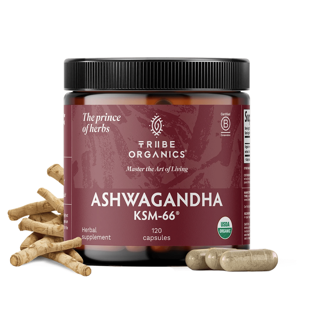 ASHWAGANDHA KSM - 66 Capsules | TRIBE ORGANICS 600mg - V2 - TRIBE ORGANICS