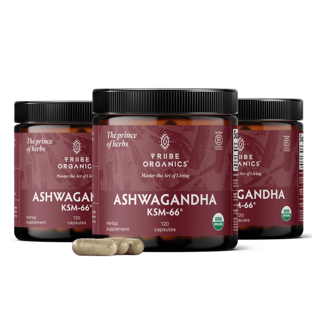 ASHWAGANDHA KSM - 66 Capsules | TRIBE ORGANICS 600mg - V2 - TRIBE ORGANICS