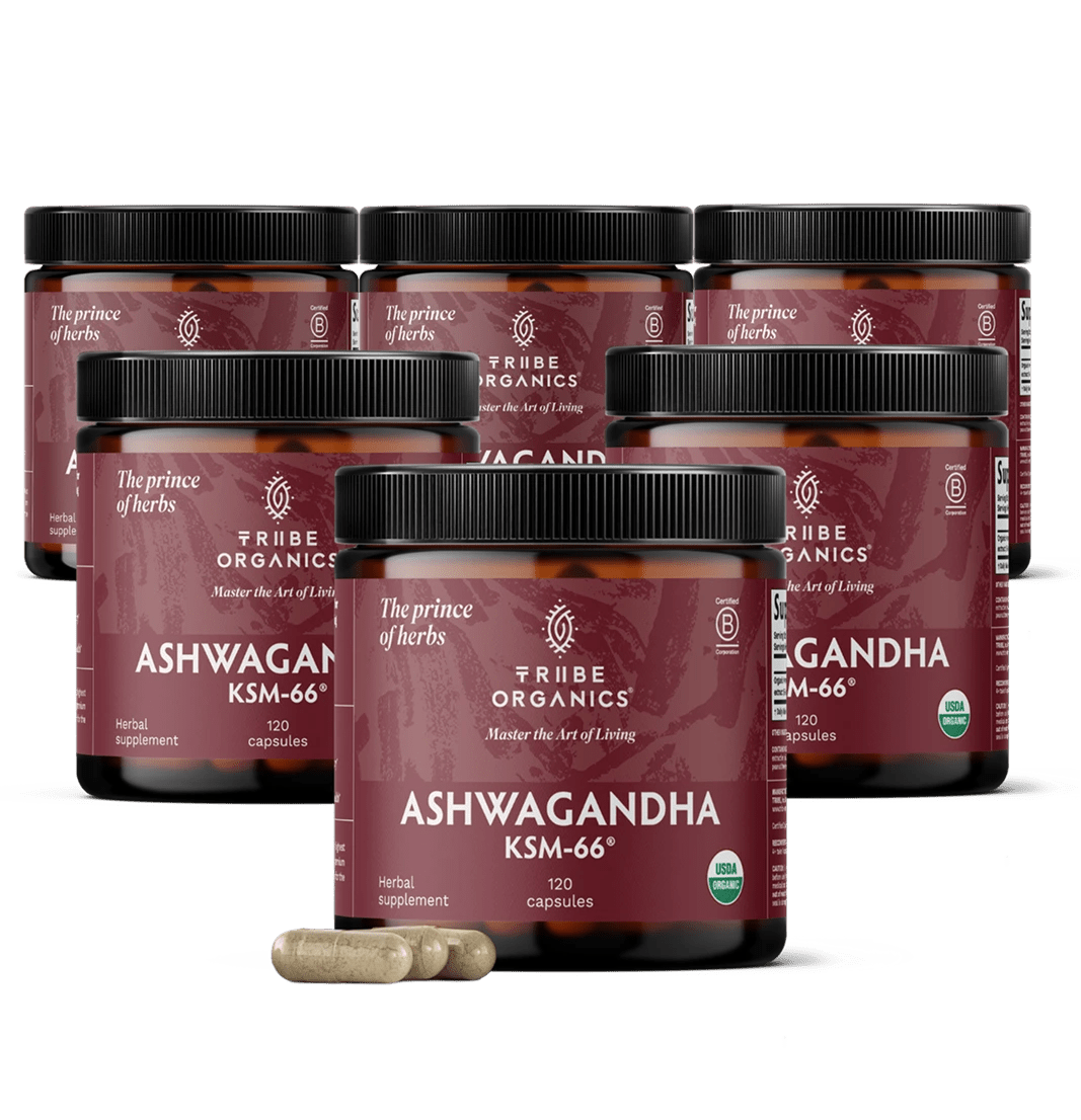 ASHWAGANDHA KSM - 66 Capsules | TRIBE ORGANICS 600mg - V2 - TRIBE ORGANICS