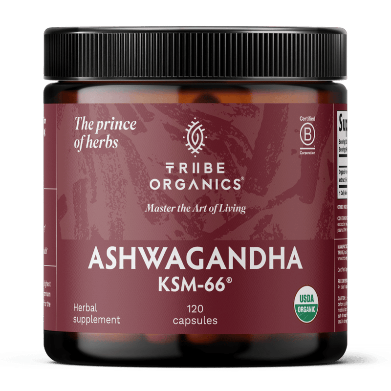 ASHWAGANDHA KSM - 66 Capsules | TRIBE ORGANICS 600mg - TRIBE ORGANICS