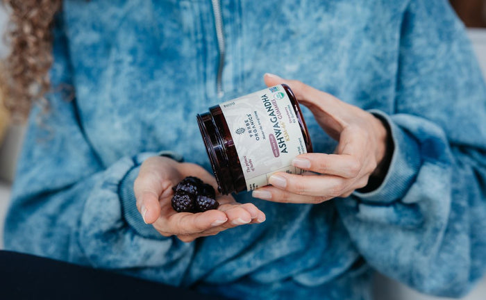 Ashwagandha Gummies Stress Busting Bff