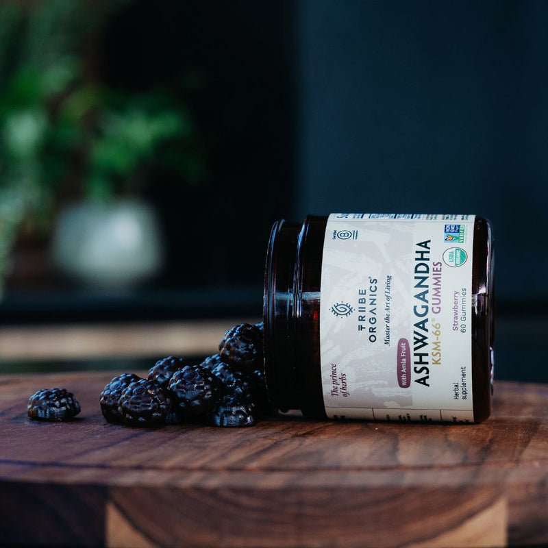 Ashwagandha Gummies (KSM - 66) | TRIBE ORGANICS