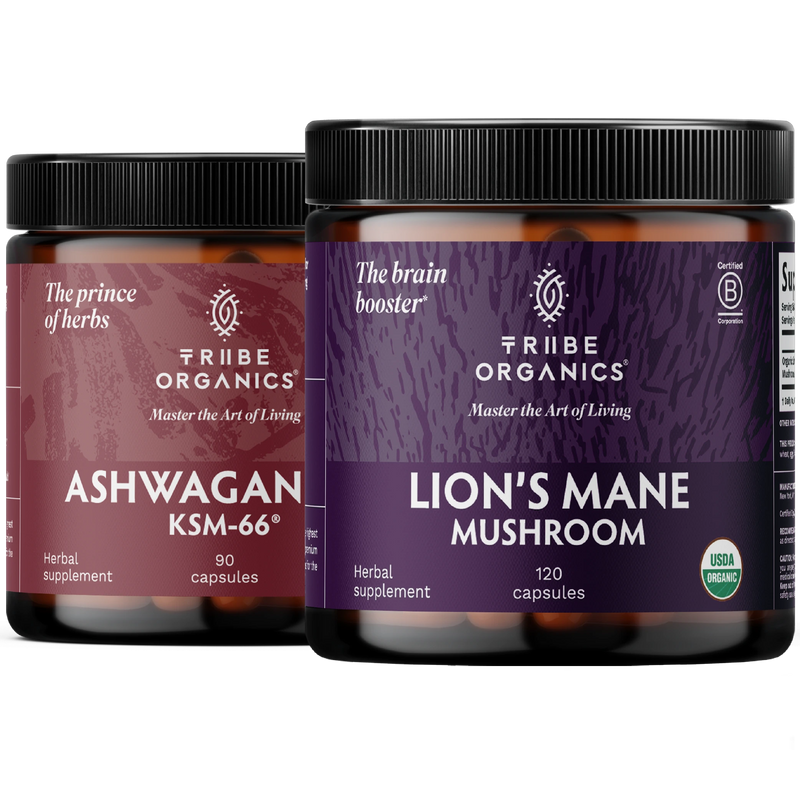 Nootropic Duo - TRIBE ORGANICS