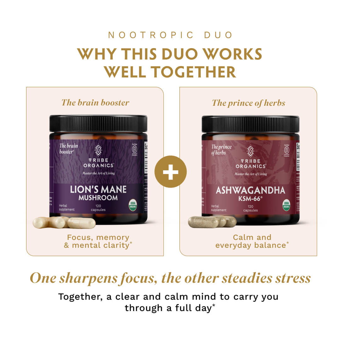 Nootropic Duo - TRIBE ORGANICS