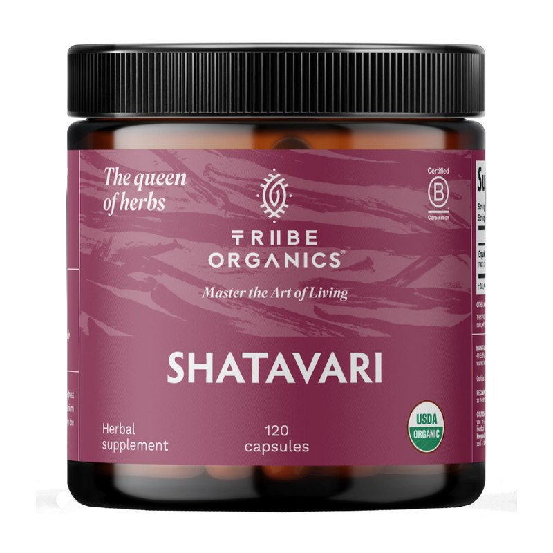 Organic Shatavari Root Powder Supplement | TRIBE ORGANICS