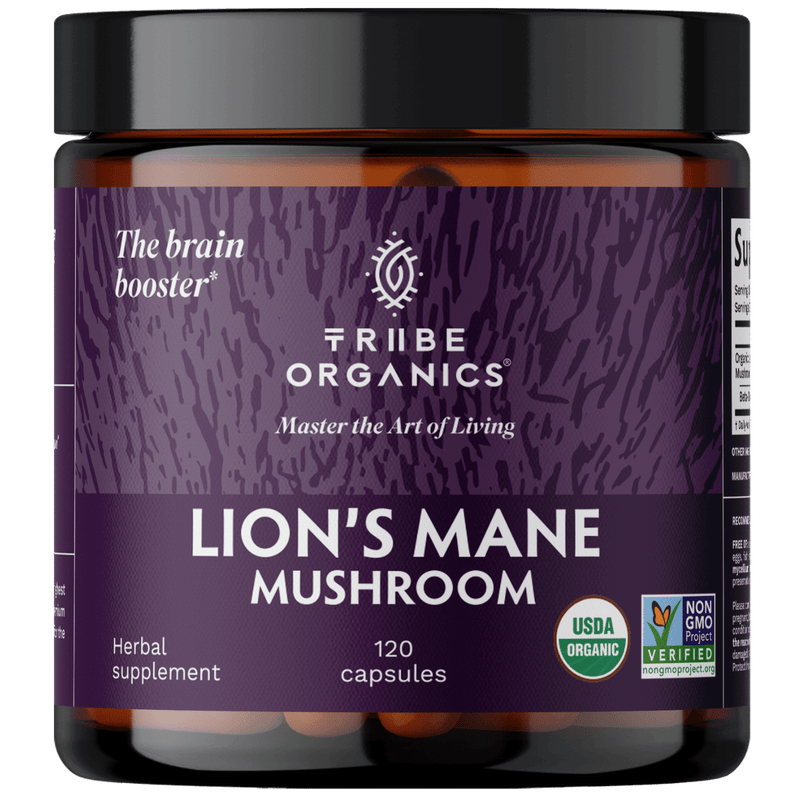 Lion's Mane Mushroom