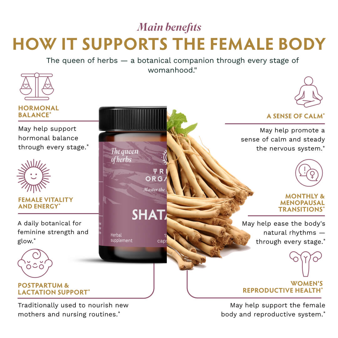 Organic Shatavari Root Powder Supplement - TRIBE ORGANICS