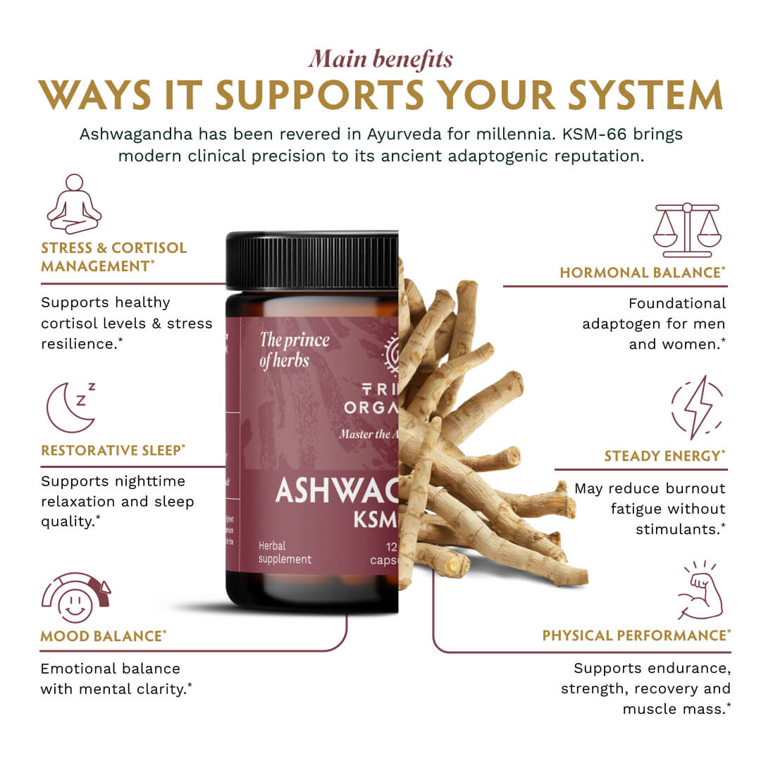 Ashwagandha KSM-66 90 1-Pack 25 - TRIBE ORGANICS
