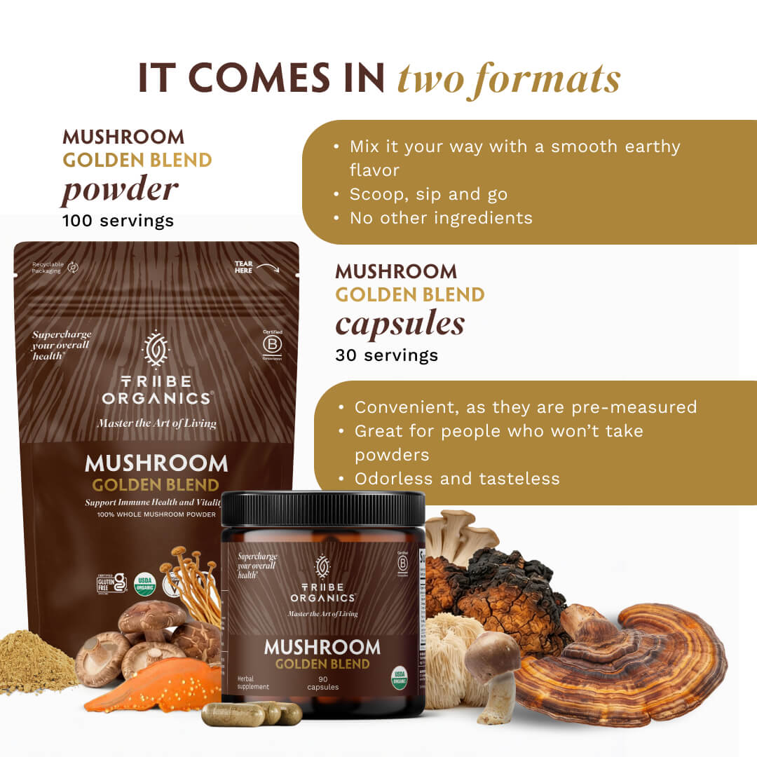 Mushroom Golden Blend Powder 1-Pack 25 - TRIBE ORGANICS