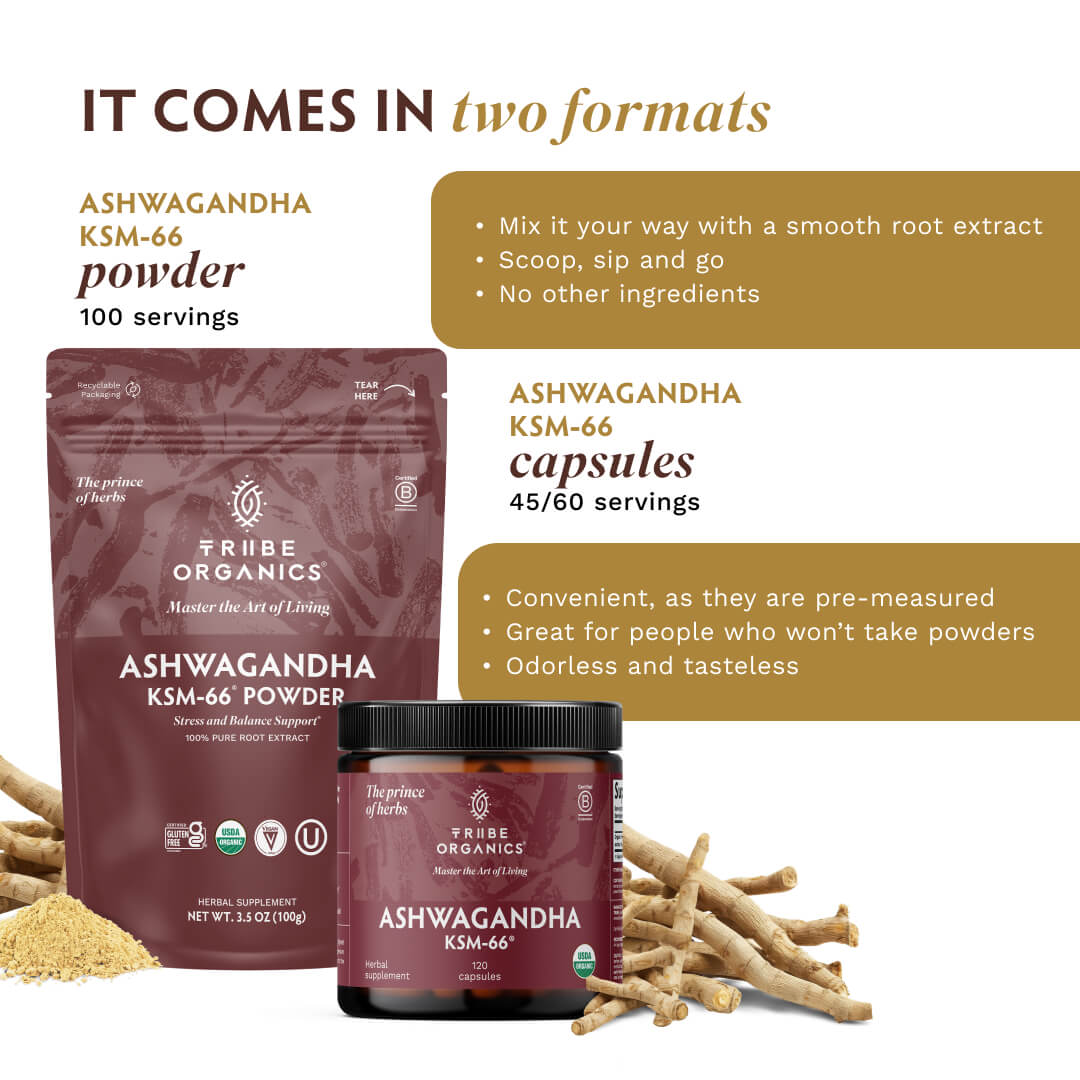 Ashwagandha KSM-66 Powder - TRIBE ORGANICS