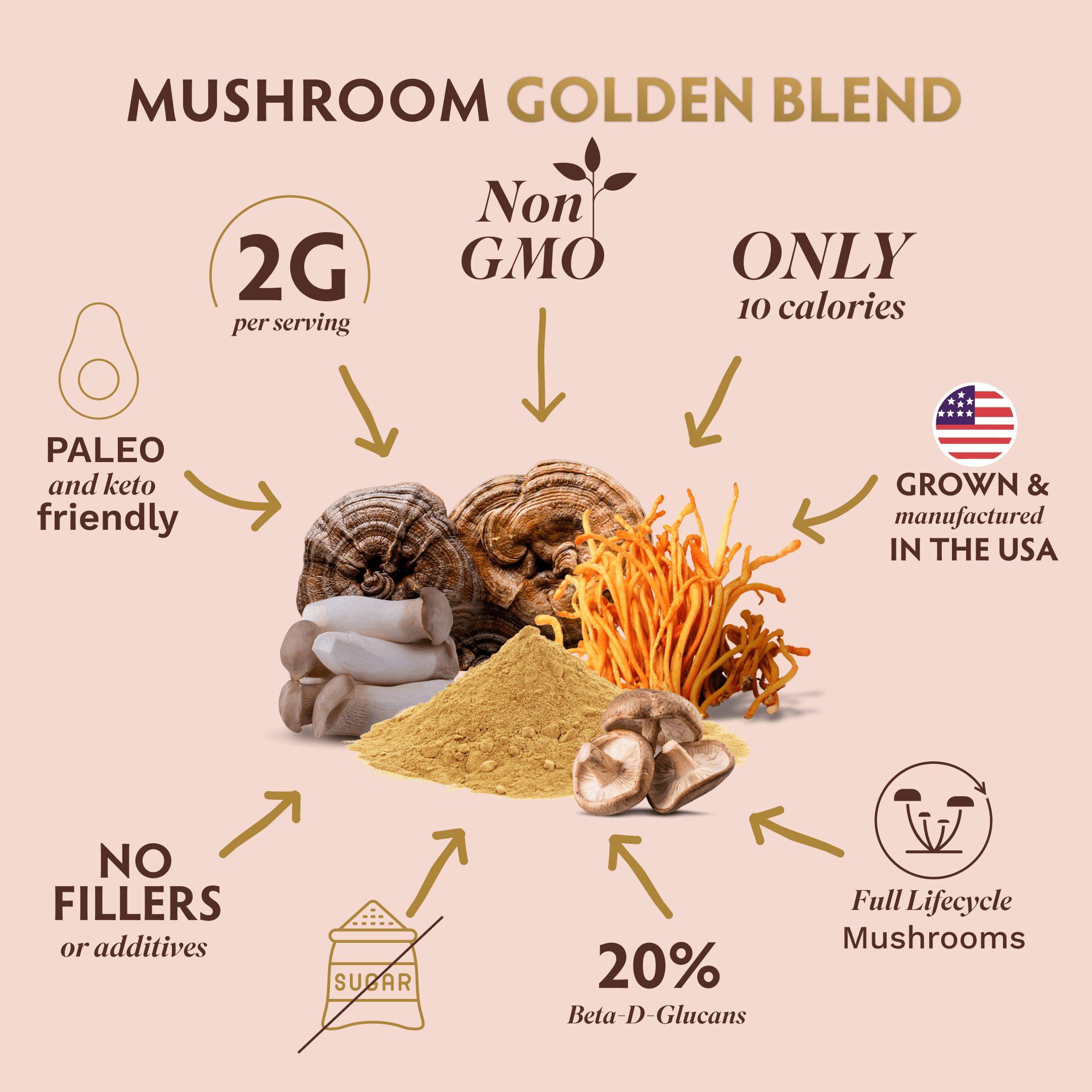 Mushroom Golden Blend Powder 1-Pack 25 - TRIBE ORGANICS