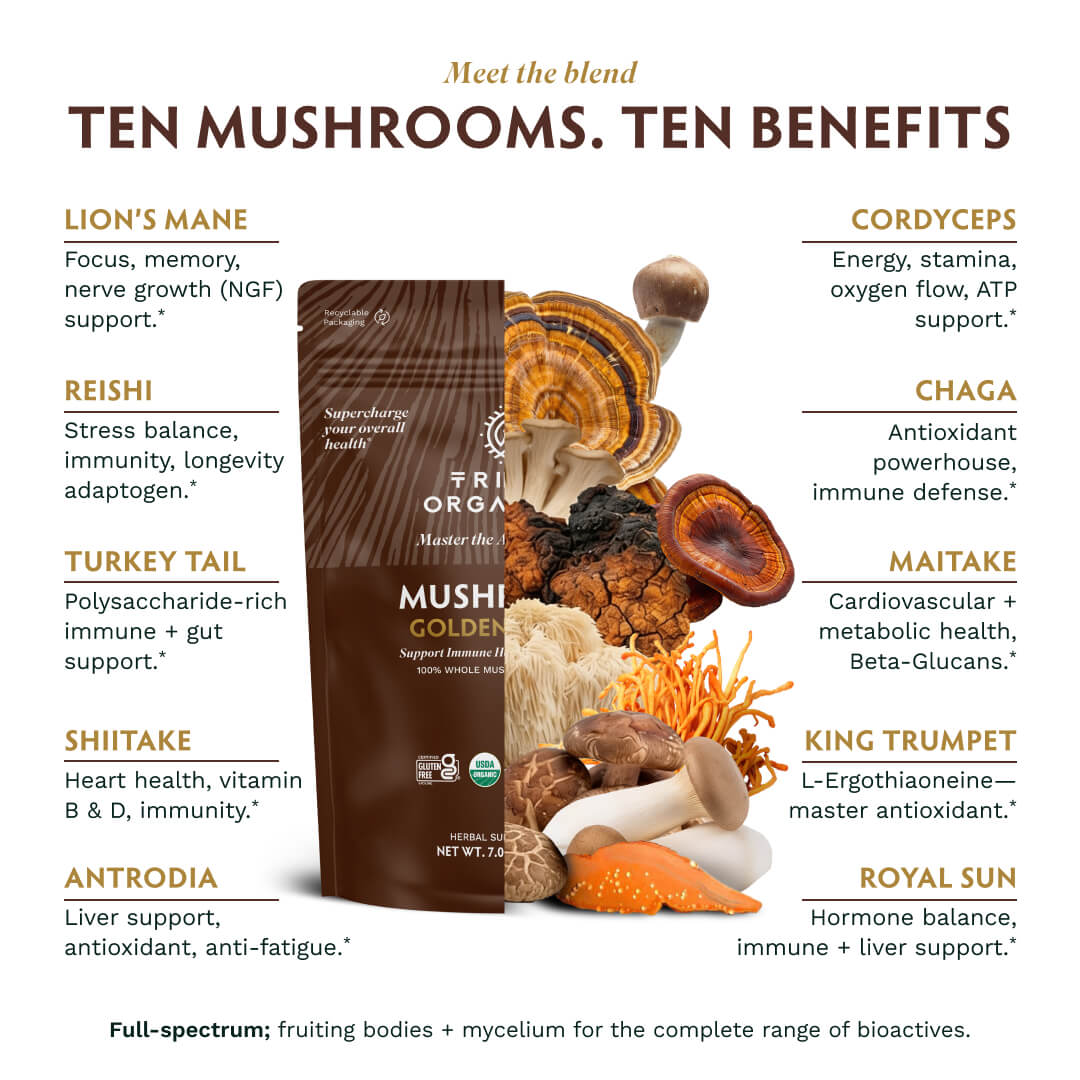 Mushroom Golden Blend Powder 1-Pack 25 - TRIBE ORGANICS