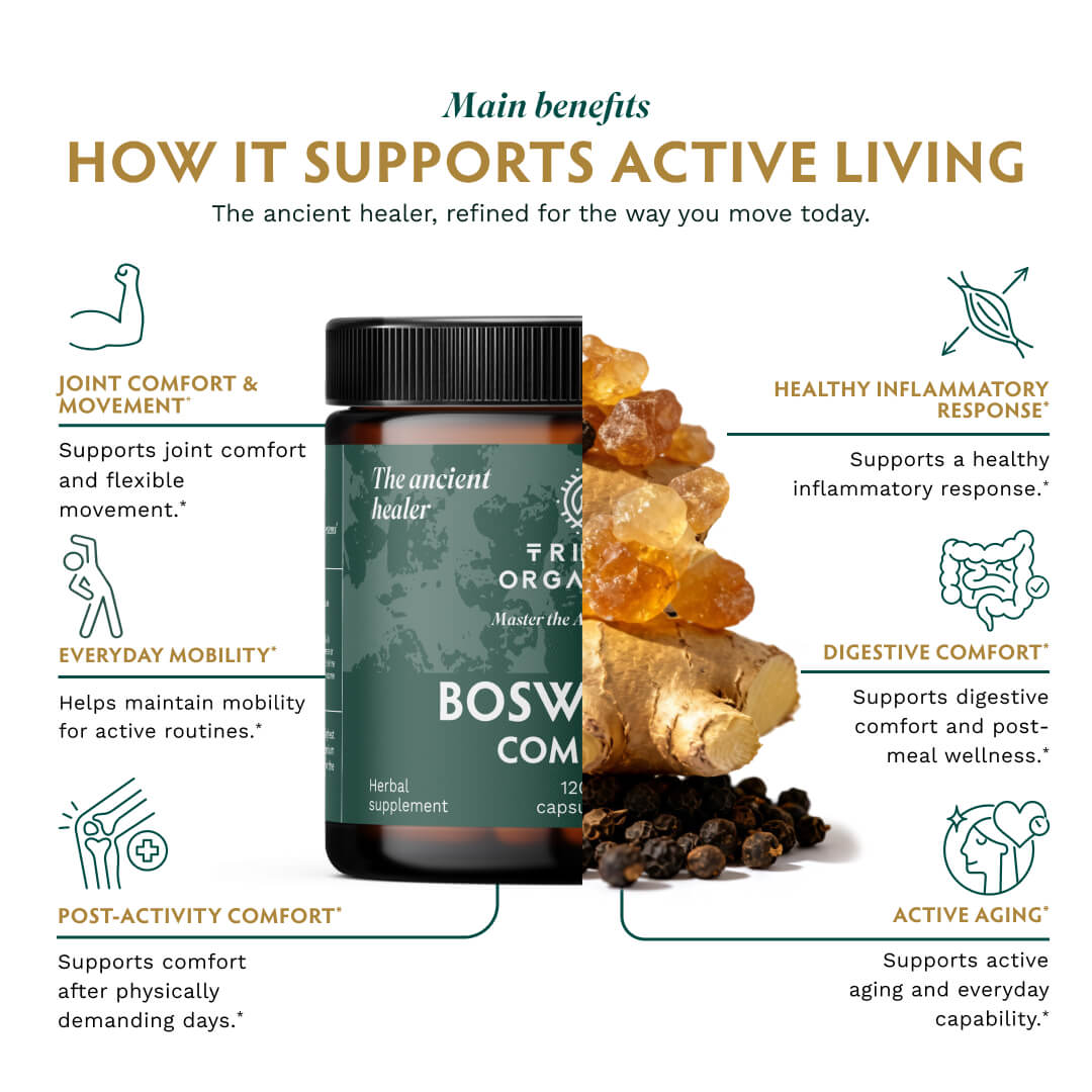 Resilience Duo | Boswellia + Turmeric Complex | TRIBE ORGANICS