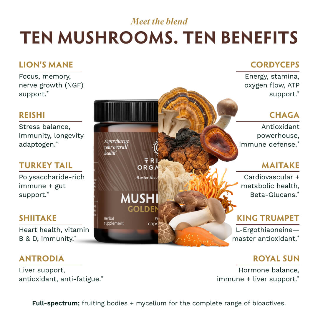 Mushroom Golden Blend - TRIBE ORGANICS