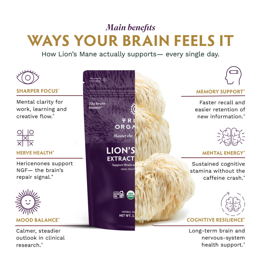 Lion's Mane Extract Powder - TRIBE ORGANICS
